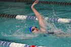 Women's Swimming & Diving  Wheaton College Women’s Swimming & Diving vs Mount Holyoke College. - Photo by Keith Nordstrom : Wheaton, Swimming & Diving